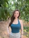 静安小白虎